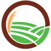 Rye