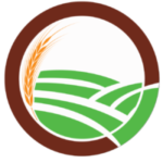 Rye white
